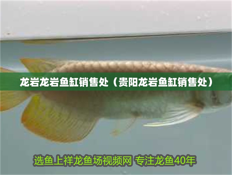 龍巖龍巖魚缸銷售處（貴陽龍巖魚缸銷售處）