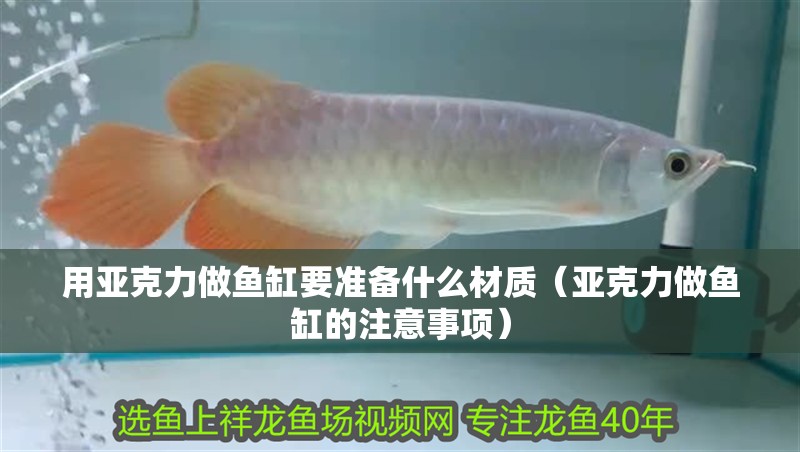 用亞克力做魚缸要準(zhǔn)備什么材質(zhì)（亞克力做魚缸的注意事項(xiàng)）