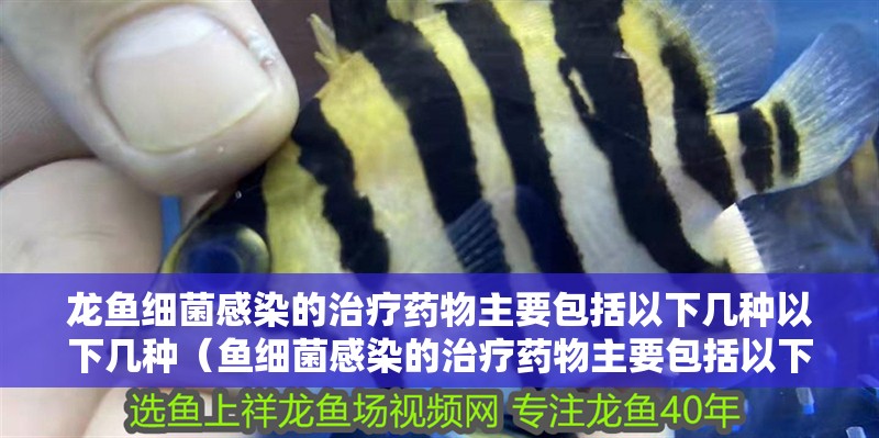 龍魚細菌感染的治療藥物主要包括以下幾種以下幾種（魚細菌感染的治療藥物主要包括以下幾種以下幾種藥物）
