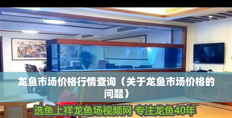 龍魚市場(chǎng)價(jià)格行情查詢（關(guān)于龍魚市場(chǎng)價(jià)格的問題） 龍魚市場(chǎng)價(jià)格行情查詢（關(guān)于龍魚市場(chǎng)價(jià)格的問題） 觀賞魚百科 第2張