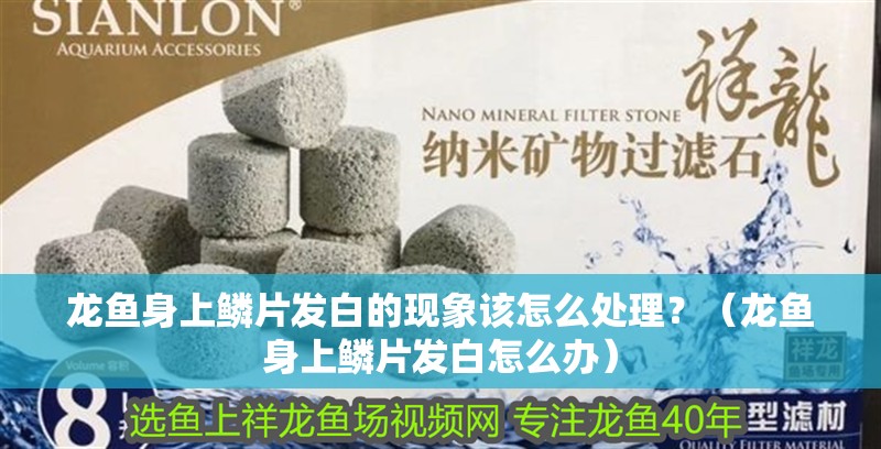 龍魚身上鱗片發白的現象該怎么處理？（龍魚身上鱗片發白怎么辦）