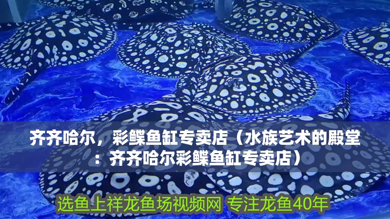 齊齊哈爾，彩鰈魚缸專賣店（水族藝術的殿堂：齊齊哈爾彩鰈魚缸專賣店）