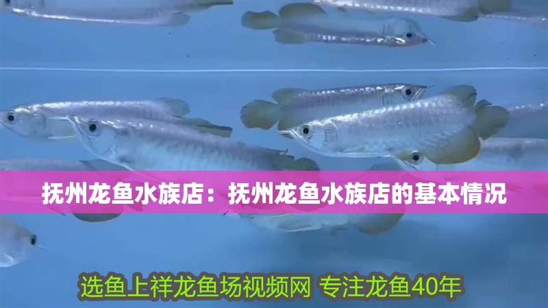 撫州龍魚水族店：撫州龍魚水族店的基本情況