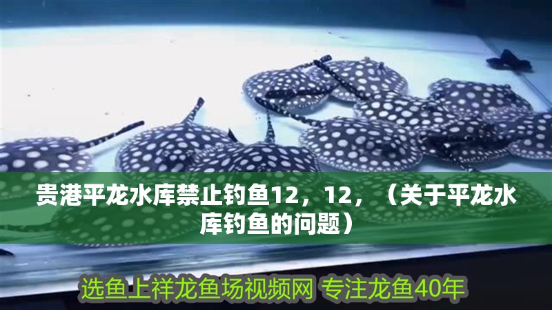 貴港平龍水庫禁止釣魚12，12，（關于平龍水庫釣魚的問題）