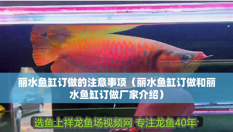 麗水魚缸訂做的注意事項(xiàng)（麗水魚缸訂做和麗水魚缸訂做廠家介紹）