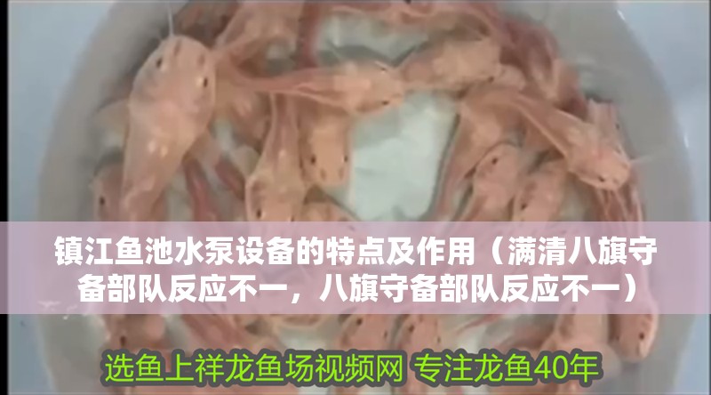 鎮江魚池水泵設備的特點及作用（滿清八旗守備部隊反應不一，八旗守備部隊反應不一）