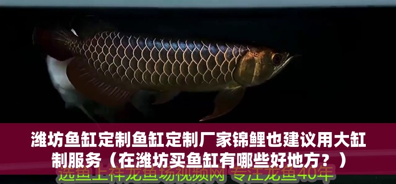 濰坊魚缸定制魚缸定制廠家錦鯉也建議用大缸制服務（在濰坊買魚缸有哪些好地方？）
