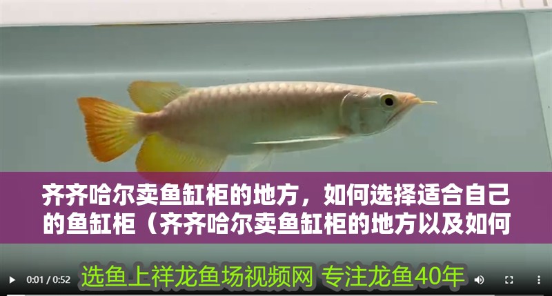 齊齊哈爾賣魚缸柜的地方,如何選擇適合自己的魚缸柜(齊齊哈爾賣魚缸柜的地方以及如何選擇適合自己的魚缸柜) 觀賞魚百科 第2張 齊齊哈爾賣魚缸柜的地方,如何選擇適合自己的魚缸柜(齊齊哈爾賣魚缸柜的地方以及如何選擇適合自己的魚缸柜) 齊齊哈爾賣魚缸柜的地方,如何選擇適合自己的魚缸柜(齊齊哈爾賣魚缸柜的地方以及如何選擇適合自己的魚缸柜) 觀賞魚百科 第2張