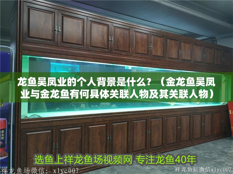 龍魚吳鳳業(yè)的個(gè)人背景是什么？（金龍魚吳鳳業(yè)與金龍魚有何具體關(guān)聯(lián)人物及其關(guān)聯(lián)人物）
