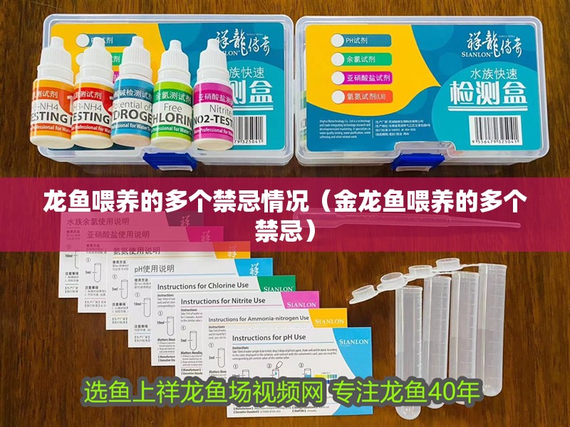 龍魚喂養的多個禁忌情況（金龍魚喂養的多個禁忌）