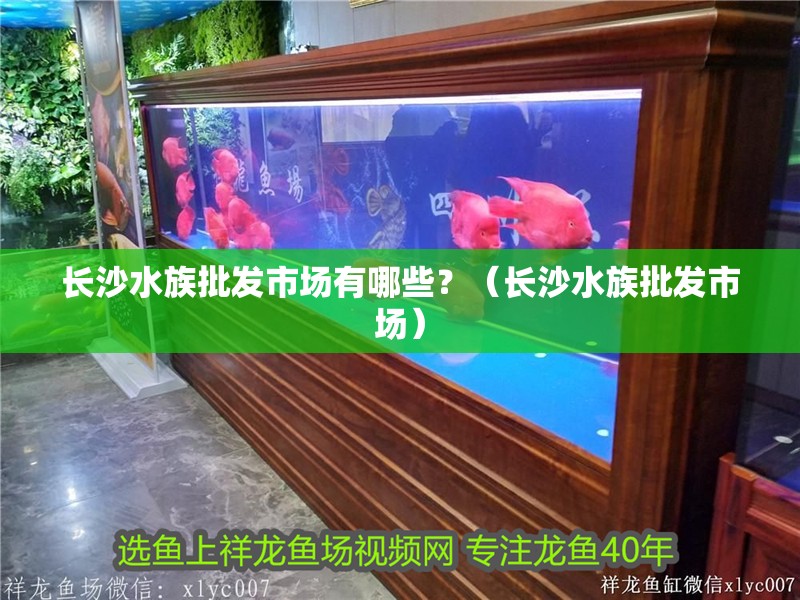 長沙水族批發市場有哪些？（長沙水族批發市場）