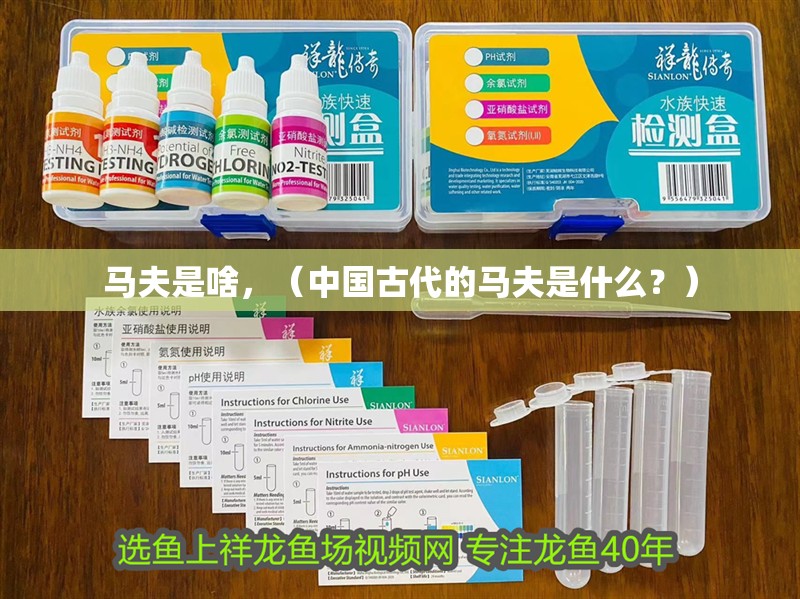 馬夫是啥，（中國古代的馬夫是什么？）