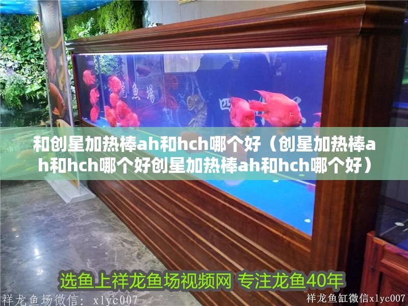 和創(chuàng)星加熱棒ah和hch哪個好（創(chuàng)星加熱棒ah和hch哪個好創(chuàng)星加熱棒ah和hch哪個好）