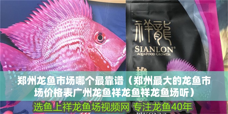 鄭州龍魚市場哪個最靠譜（鄭州最大的龍魚市場價格表廣州龍魚祥龍魚祥龍魚場聽）