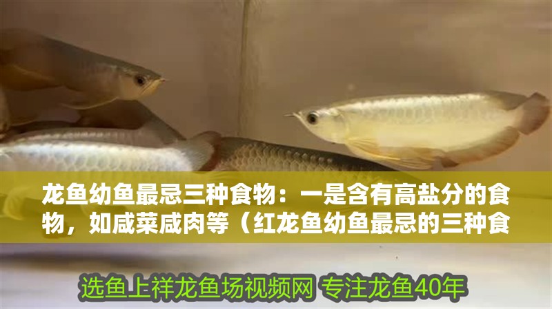 龍魚(yú)幼魚(yú)最忌三種食物：一是含有高鹽分的食物，如咸菜咸肉等（紅龍魚(yú)幼魚(yú)最忌的三種食物）
