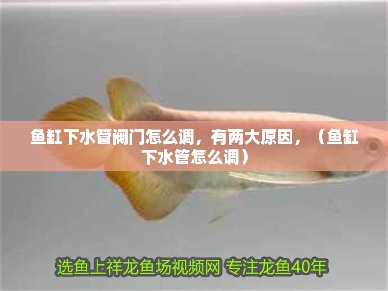 魚缸下水管閥門怎么調，有兩大原因，（魚缸下水管怎么調）