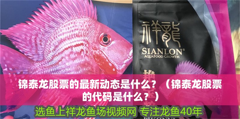 錦泰龍股票的最新動態是什么？（錦泰龍股票的代碼是什么？）