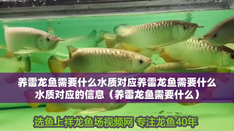 養雷龍魚需要什么水質對應養雷龍魚需要什么水質對應的信息（養雷龍魚需要什么）