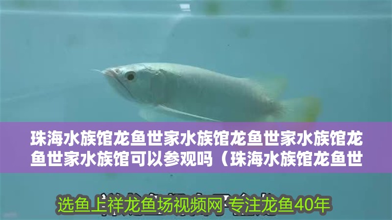 珠海水族館龍魚世家水族館龍魚世家水族館龍魚世家水族館可以參觀嗎（珠海水族館龍魚世家）