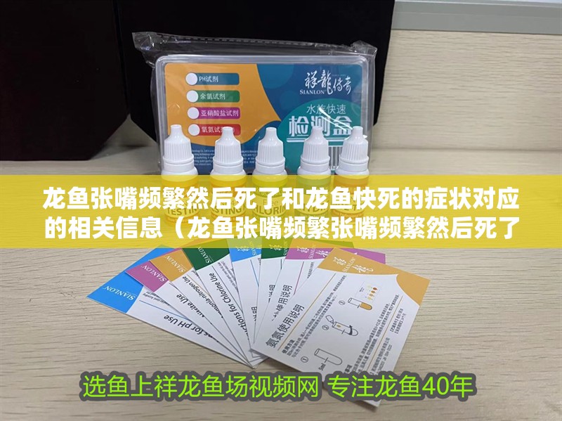 龍魚張嘴頻繁然后死了和龍魚快死的癥狀對應的相關信息（龍魚張嘴頻繁張嘴頻繁然后死了和龍魚快死的癥狀介紹）
