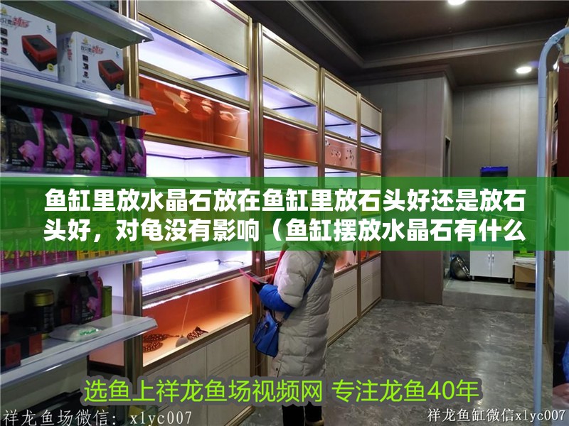 龍魚干蝦有營養嗎 魚缸里放水晶石放在魚缸里放石頭好還是放石頭好,對龜沒有影響(魚缸擺放水晶石有什么講究?) 觀賞魚百科 魚缸里放水晶石放在魚缸里放石頭好還是放石頭好,對龜沒有影響(魚缸擺放水晶石有什么講究?) 魚缸里放水晶石放在魚缸里放石頭好還是放石頭好,對龜沒有影響(魚缸擺放水晶石有什么講究?) 觀賞魚百科