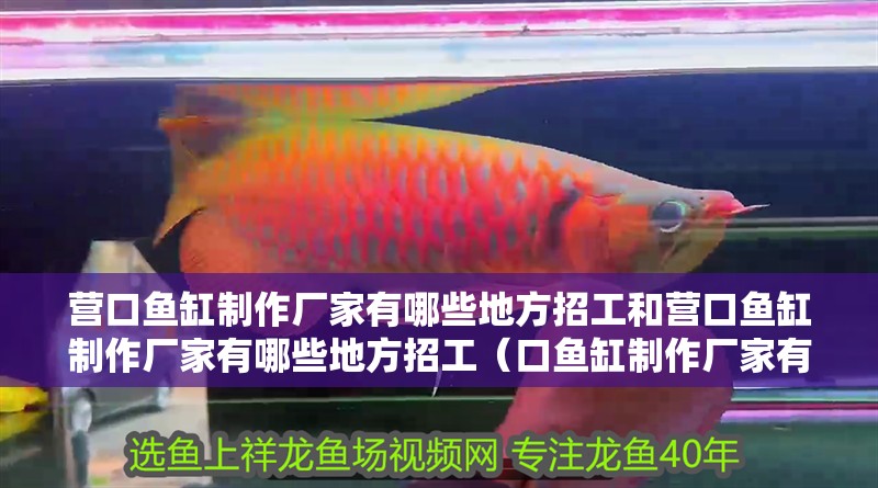 營口魚缸制作廠家有哪些地方招工和營口魚缸制作廠家有哪些地方招工（口魚缸制作廠家有哪些地方招工和營口魚缸制作廠家有哪些地方招工）