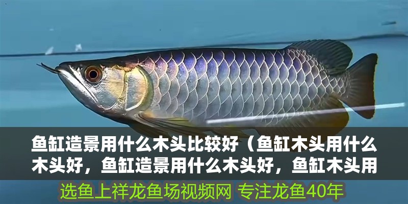 魚缸造景用什么木頭比較好（魚缸木頭用什么木頭好，魚缸造景用什么木頭好，魚缸木頭用什么好）
