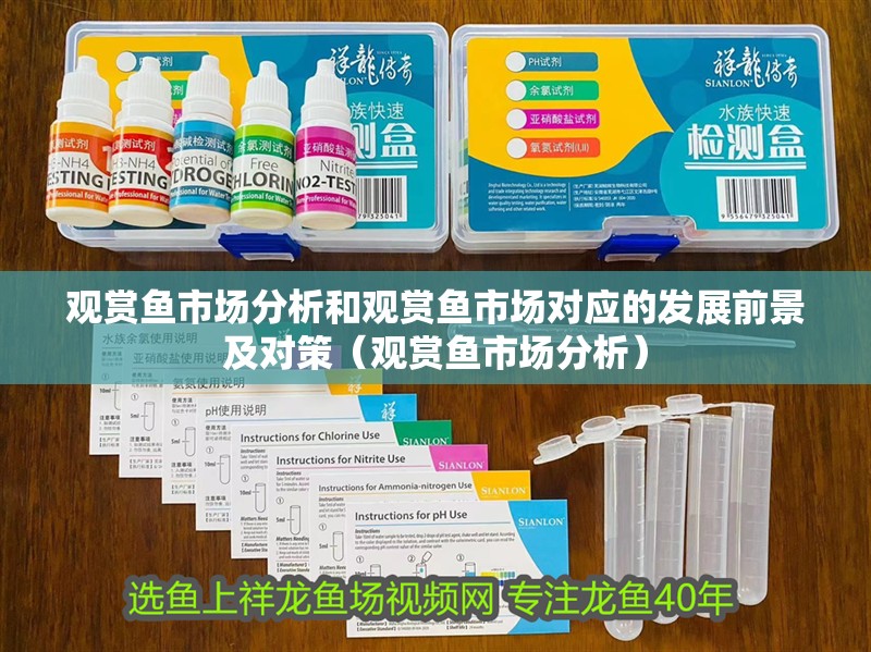 觀賞魚市場分析和觀賞魚市場對應的發展前景及對策（觀賞魚市場分析）