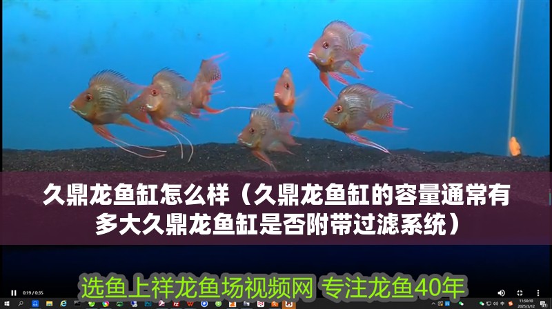 久鼎龍魚缸怎么樣（久鼎龍魚缸的容量通常有多大久鼎龍魚缸是否附帶過濾系統）
