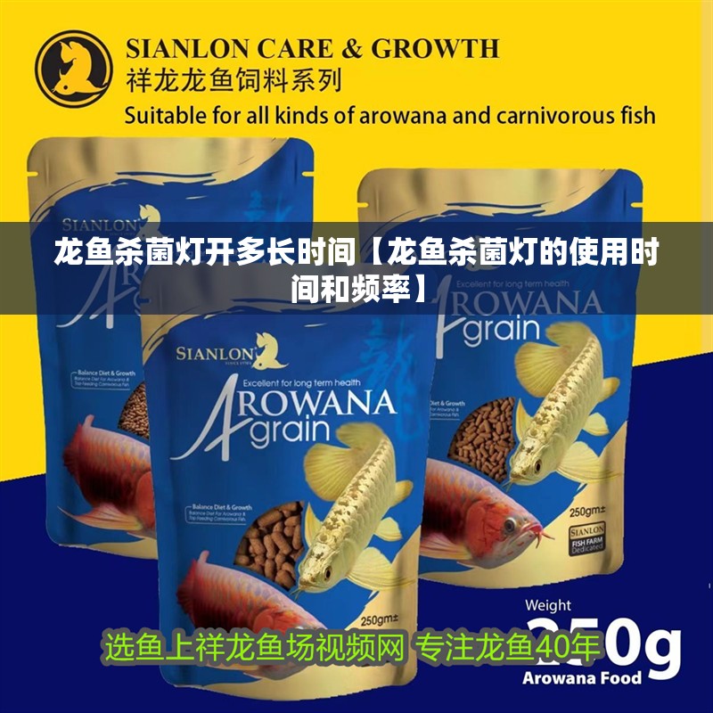龍魚殺菌燈開多長時間【龍魚殺菌燈的使用時間和頻率】