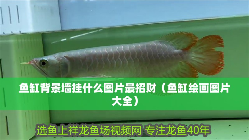 魚(yú)缸背景墻掛什么圖片最招財(cái)（魚(yú)缸繪畫(huà)圖片大全）