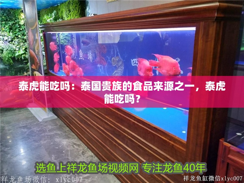 泰虎能吃嗎：泰國貴族的食品來源之一，泰虎能吃嗎？