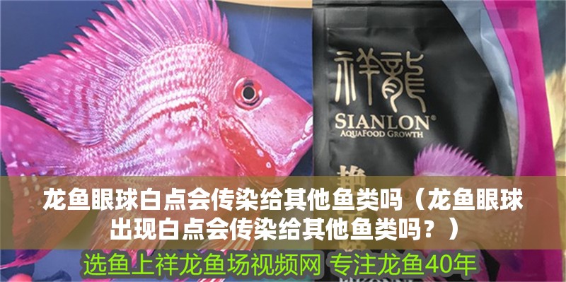 龍魚眼球白點會傳染給其他魚類嗎（龍魚眼球出現白點會傳染給其他魚類嗎？）