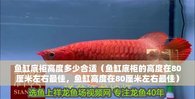 魚缸底柜高度多少合適（魚缸底柜的高度在80厘米左右最佳，魚缸高度在80厘米左右最佳）