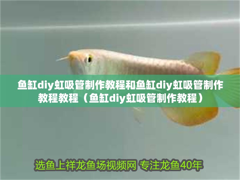 魚缸diy虹吸管制作教程和魚缸diy虹吸管制作教程教程（魚缸diy虹吸管制作教程）
