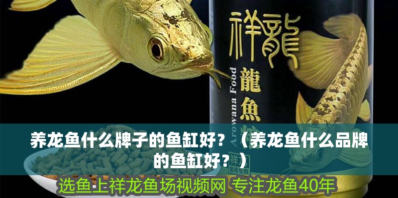 養(yǎng)龍魚(yú)什么牌子的魚(yú)缸好？（養(yǎng)龍魚(yú)什么品牌的魚(yú)缸好？）