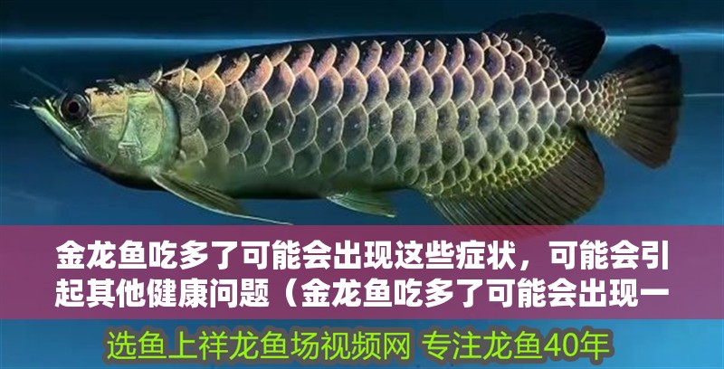 金龍魚吃多了可能會出現這些癥狀，可能會引起其他健康問題（金龍魚吃多了可能會出現一些癥狀）