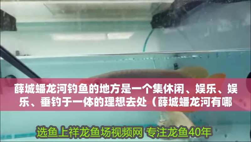 薛城蟠龍河釣魚的地方是一個集休閑、娛樂、娛樂、垂釣于一體的理想去處（薛城蟠龍河有哪些釣魚地點）