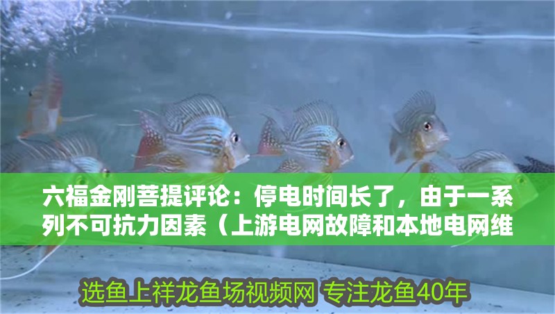 六福金剛菩提評論：停電時間長了，由于一系列不可抗力因素（上游電網故障和本地電網維護導致停電）