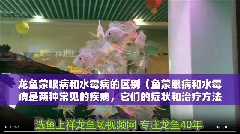 龍魚蒙眼病和水霉病的區別（魚蒙眼病和水霉病是兩種常見的疾病，它們的癥狀和治療方法有所不同）