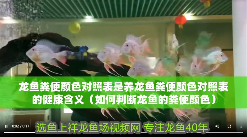 龍魚糞便顏色對照表是養龍魚糞便顏色對照表的健康含義（如何判斷龍魚的糞便顏色）