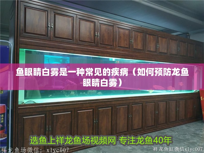 魚(yú)眼睛白霧是一種常見(jiàn)的疾?。ㄈ绾晤A(yù)防龍魚(yú)眼睛白霧）