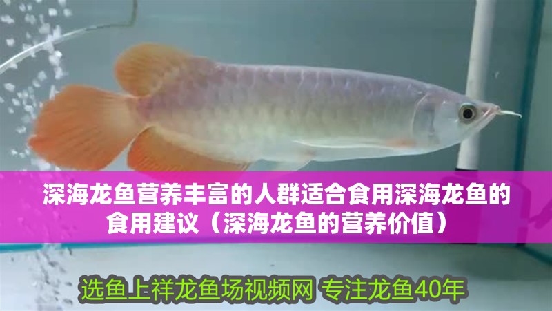 深海龍魚營養(yǎng)豐富的人群適合食用深海龍魚的食用建議（深海龍魚的營養(yǎng)價值） 深海龍魚營養(yǎng)豐富的人群適合食用深海龍魚的食用建議（深海龍魚的營養(yǎng)價值） 龍魚百科 第2張