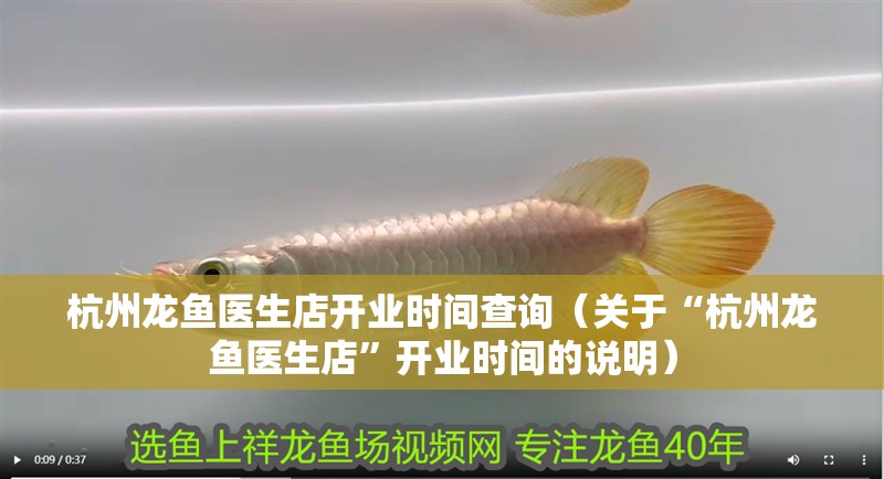 杭州龍魚醫(yī)生店開業(yè)時間查詢（關(guān)于“杭州龍魚醫(yī)生店”開業(yè)時間的說明）