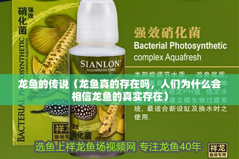 龍魚的傳說（龍魚真的存在嗎，人們為什么會相信龍魚的真實存在）