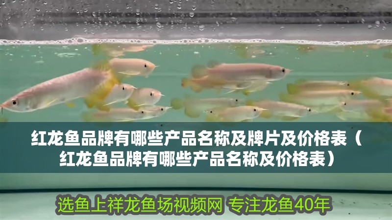 紅龍魚品牌有哪些產品名稱及牌片及價格表（紅龍魚品牌有哪些產品名稱及價格表） 紅龍魚品牌有哪些產品名稱及牌片及價格表（紅龍魚品牌有哪些產品名稱及價格表） 觀賞魚百科