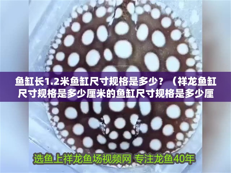 魚缸長(zhǎng)1.2米魚缸尺寸規(guī)格是多少？（祥龍魚缸尺寸規(guī)格是多少厘米的魚缸尺寸規(guī)格是多少厘米的）