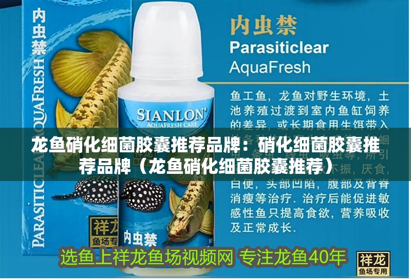 龍魚硝化細菌膠囊推薦品牌:硝化細菌膠囊推薦品牌(龍魚硝化細菌膠囊推薦) 龍魚百科 第6張 龍魚硝化細菌膠囊推薦品牌:硝化細菌膠囊推薦品牌(龍魚硝化細菌膠囊推薦) 龍魚硝化細菌膠囊推薦品牌:硝化細菌膠囊推薦品牌(龍魚硝化細菌膠囊推薦) 龍魚百科 第6張
