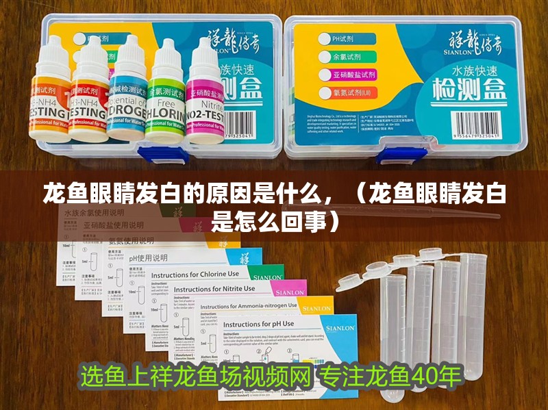 龍魚(yú)眼睛發(fā)白的原因是什么，（龍魚(yú)眼睛發(fā)白是怎么回事）