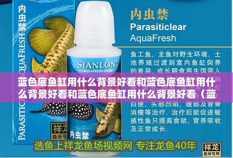 藍色底魚缸用什么背景好看和藍色底魚缸用什么背景好看和藍色底魚缸用什么背景好看（藍色底魚缸用什么背景好看）